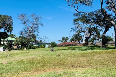 Land in Port Orange, Florida № 1429553 - photo 2