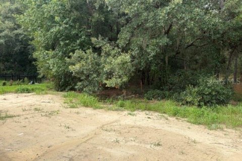 Casa en venta en Dunnellon, Florida, 3 dormitorios, 140.47 m2 № 2229886 - foto 21