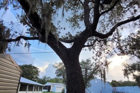 House in Lake Wales, Florida 2 bedrooms, 75.81 sq.m. № 2215408 - photo 22
