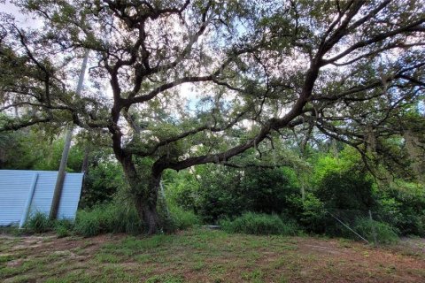 House in Lake Wales, Florida 2 bedrooms, 75.81 sq.m. № 2215408 - photo 24