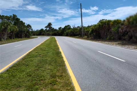 Land in Rotonda, Florida № 2377894 - photo 3