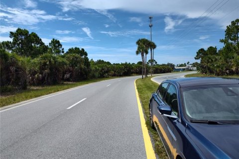 Land in Rotonda, Florida № 2377894 - photo 4
