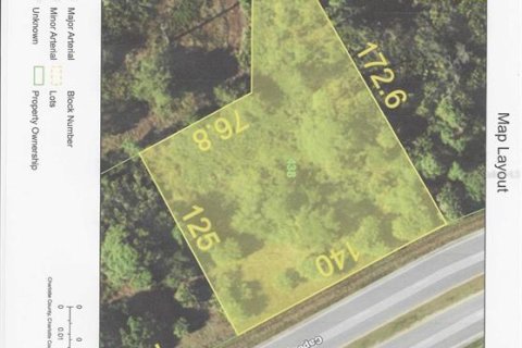 Land in Rotonda, Florida № 2377894 - photo 7