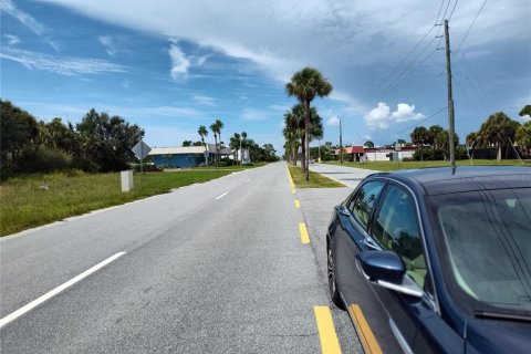 Land in Rotonda, Florida № 2377894 - photo 2