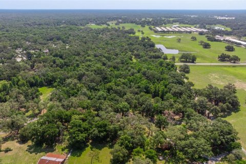 Propiedad comercial en venta en Dade City, Florida, 270.9 m2 № 1755636 - foto 3