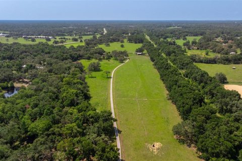 Propiedad comercial en venta en Dade City, Florida, 270.9 m2 № 1755636 - foto 10