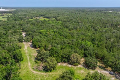 Propiedad comercial en venta en Dade City, Florida, 270.9 m2 № 1755636 - foto 21