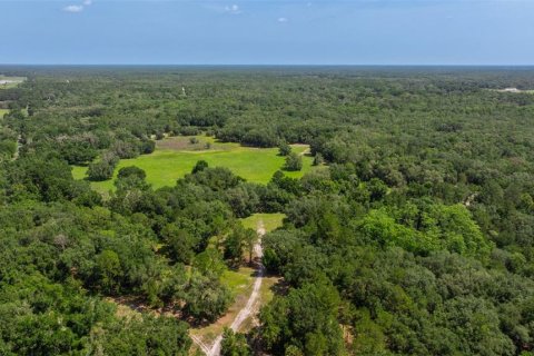 Propiedad comercial en venta en Dade City, Florida, 270.9 m2 № 1755636 - foto 22