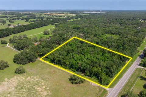 Propiedad comercial en venta en Dade City, Florida, 270.9 m2 № 1755636 - foto 5
