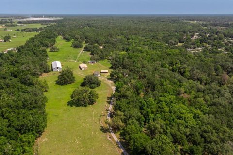 Propiedad comercial en venta en Dade City, Florida, 270.9 m2 № 1755636 - foto 9