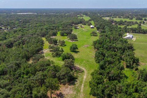 Propiedad comercial en venta en Dade City, Florida, 270.9 m2 № 1755636 - foto 23