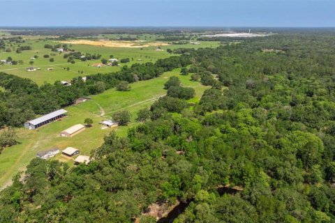 Propiedad comercial en venta en Dade City, Florida, 270.9 m2 № 1755636 - foto 15