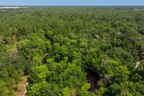 Propiedad comercial en venta en Dade City, Florida, 270.9 m2 № 1755636 - foto 19