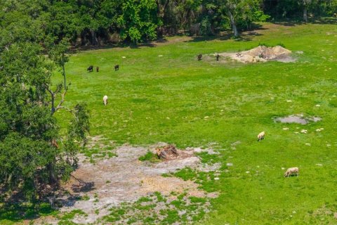 Propiedad comercial en venta en Dade City, Florida, 270.9 m2 № 1755636 - foto 20
