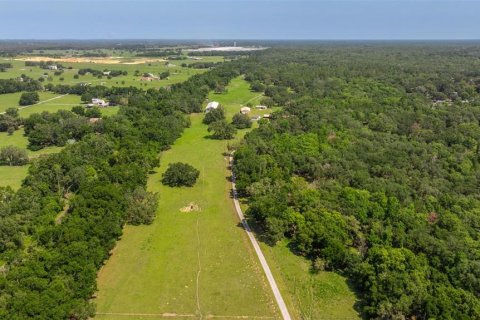 Propiedad comercial en venta en Dade City, Florida, 270.9 m2 № 1755636 - foto 8