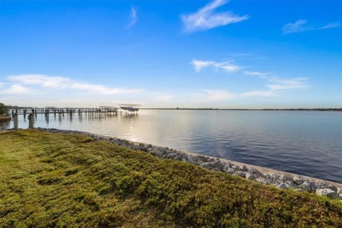 Villa ou maison à vendre à Ellenton, Floride: 5 chambres, 461.63 m2 № 1583919 - photo 8