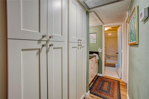 Condo in Saint Petersburg, Florida, 1 bedroom  № 1833637 - photo 9