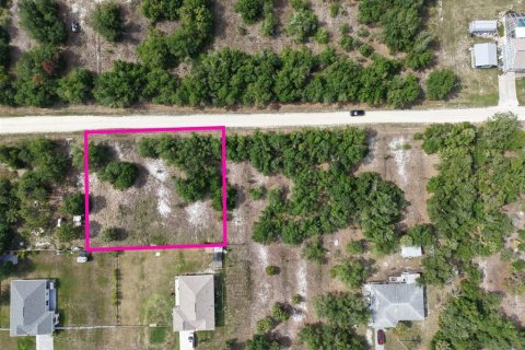 Land in Punta Gorda, Florida № 2160384 - photo 8