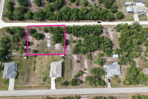 Land in Punta Gorda, Florida № 2160384 - photo 5