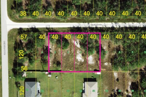 Land in Punta Gorda, Florida № 2160384 - photo 7