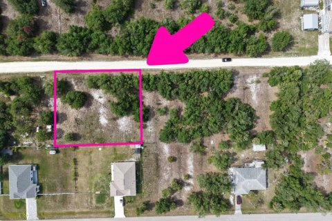 Land in Punta Gorda, Florida № 2160384 - photo 6