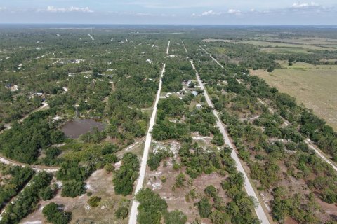 Land in Punta Gorda, Florida № 2160384 - photo 2