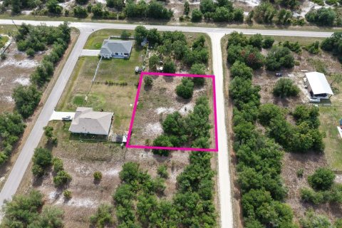 Land in Punta Gorda, Florida № 2160384 - photo 4