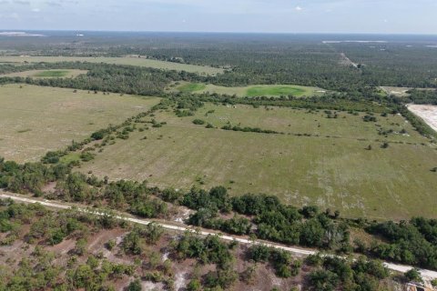 Land in Punta Gorda, Florida № 2160384 - photo 3