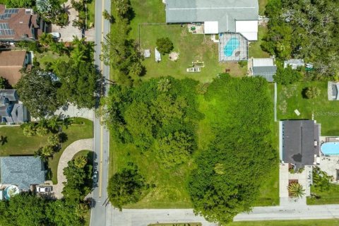 Land in New Port Richey, Florida № 1549022 - photo 10
