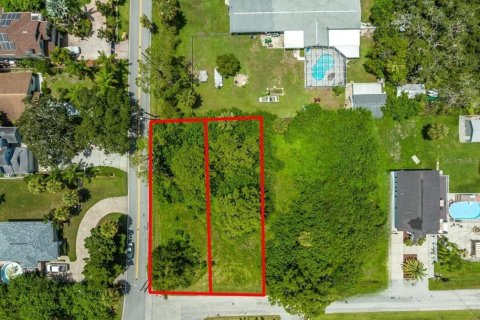 Land in New Port Richey, Florida № 1549022 - photo 2
