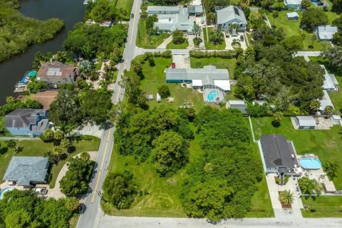 Land in New Port Richey, Florida № 1549022 - photo 4
