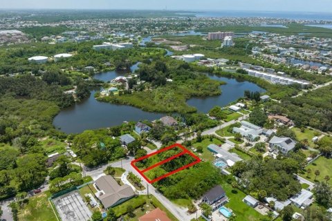 Land in New Port Richey, Florida № 1549022 - photo 1