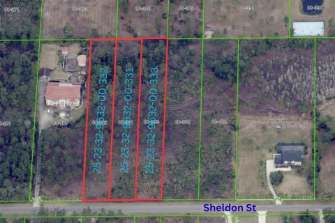 Terreno en venta en Orlando, Florida № 1909999 - foto 2