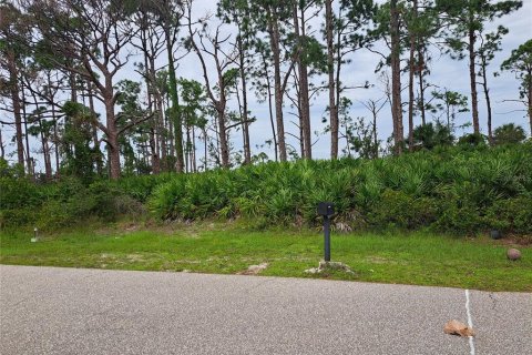 Land in Port Charlotte, Florida № 2232674 - photo 2