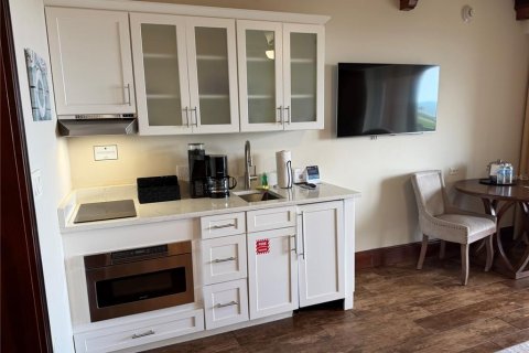 Copropriété à vendre à Palm Coast, Floride: 1 chambre, 62.99 m2 № 2356127 - photo 28