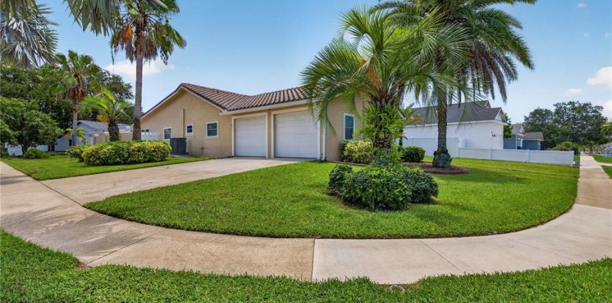 House in Palm Harbor, Florida 3 bedrooms, 213.58 sq.m. № 2238710