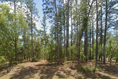 Land in Citrus Springs, Florida № 2160260 - photo 2