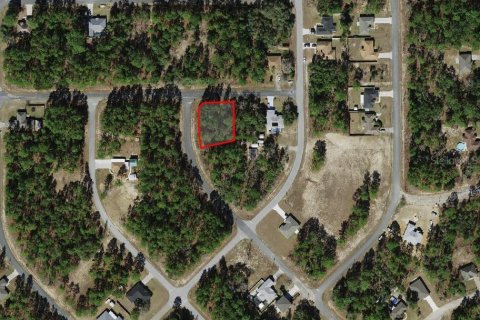 Land in Citrus Springs, Florida № 2160260