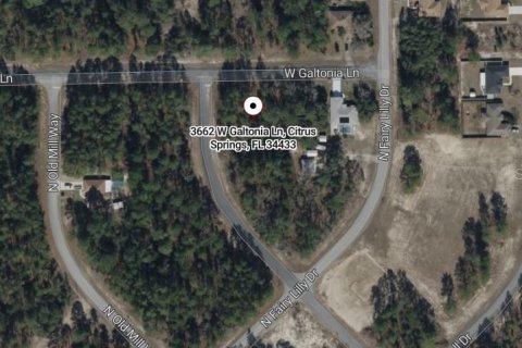 Land in Citrus Springs, Florida № 2160260 - photo 3