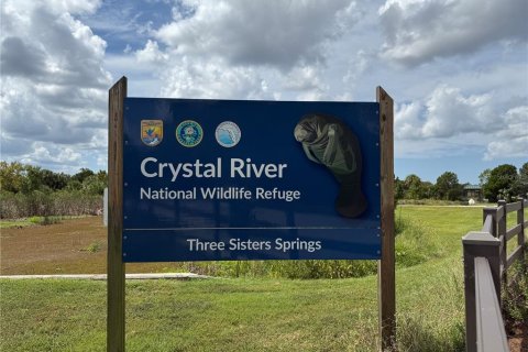 Land in Citrus Springs, Florida № 2160260 - photo 10