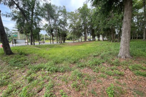 Terrain à vendre à Ocala, Floride № 1767534 - photo 16