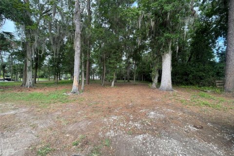 Terrain à vendre à Ocala, Floride № 1767534 - photo 5