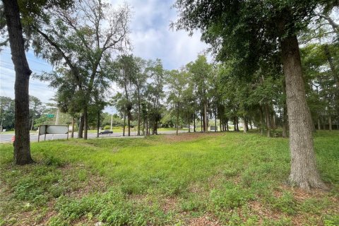 Terrain à vendre à Ocala, Floride № 1767534 - photo 18