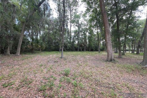 Terrain à vendre à Ocala, Floride № 1767534 - photo 15