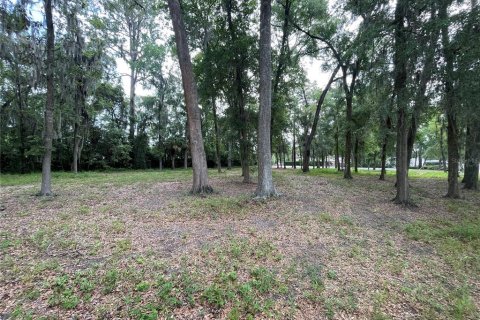 Terrain à vendre à Ocala, Floride № 1767534 - photo 14