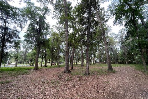 Terrain à vendre à Ocala, Floride № 1767534 - photo 11