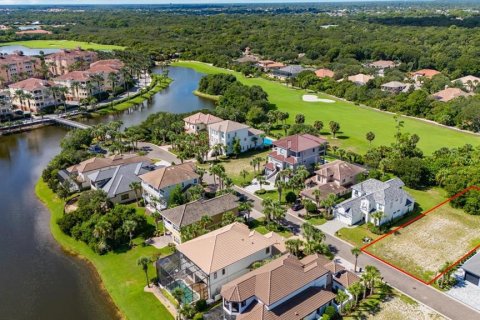 Land in Palm Coast, Florida № 2207814 - photo 6