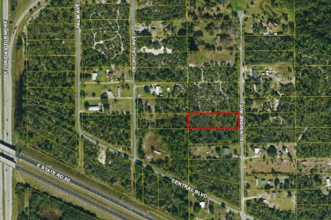 Terreno en venta en Okeechobee, Florida № 2096857 - foto 3
