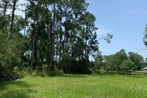 Land in Sebring, Florida № 1807978 - photo 11