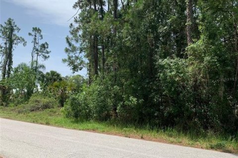 Land in Sebring, Florida № 1807978 - photo 10